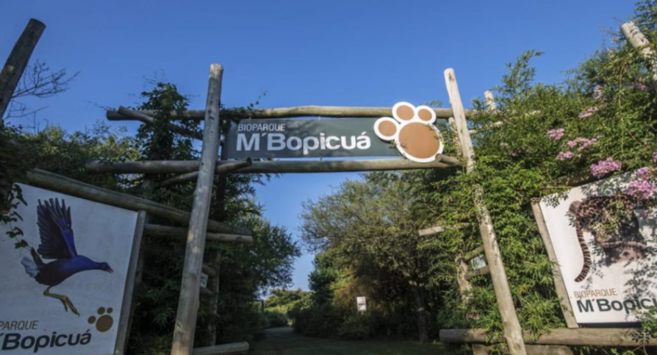 Visitas al BioParque M'Bopicuá en vacaciones de invierno
